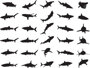 Fototapeta premium Black silhouettes of sharks 