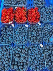Blueberry and Red Current