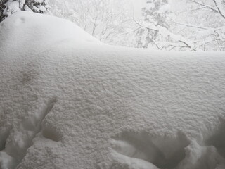 屋根にぶら下がる雪