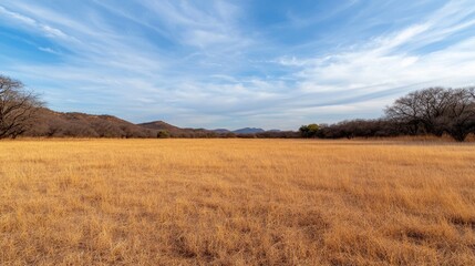 Serene Wide Angle Shot of Natural Reserve with Clear Sky and Golden Grassland
