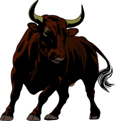 bull isolated on a white background