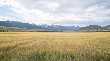 Majestic Mountain Valley Landscape with Golden Field