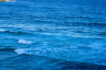 Glistening ocean waves shimmer under the sun, capturing the serene beauty of nature's rhythm. The vibrant blue water sparkles, creating a mesmerizing and tranquil scene perfect for any project.