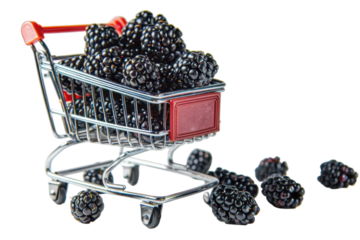 A miniature shopping cart overflowing with fresh blackberries on a light background, showcasing vibrant fruit in a playful composition isolated on transparent background