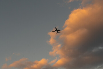 Airplane in the sky at sunrise or sunset