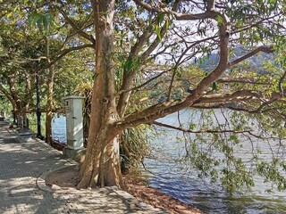  Images of Kandy &ndash; Unedited Collection