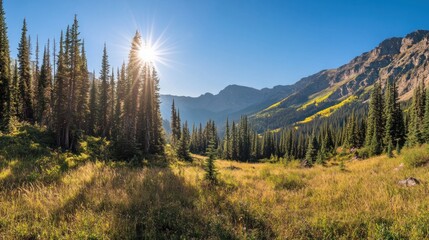 Mountain meadow sunrise, golden aspen, hiking trail, scenic view, travel poster
