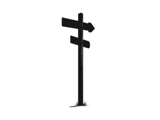 Isolated Directional Signpost with Grass