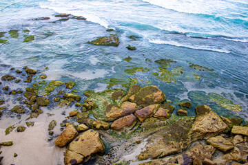 Stunning rocks covered in lush green moss with splashing waves at Bondi Beach. A captivating blend of nature�s textures and dynamic water movement.