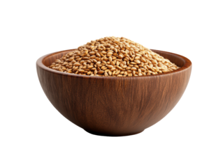 Isolated Bowl of Brown Rice