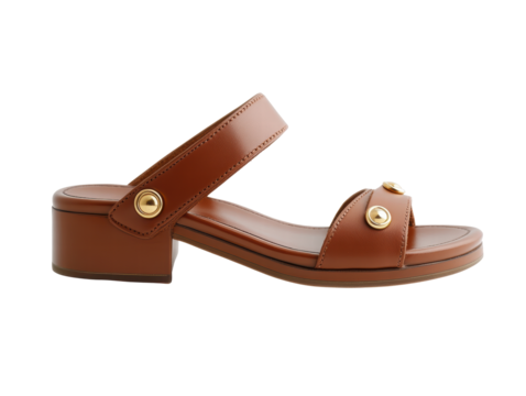 Isolated Brown Leather Sandals with Gold Buttons