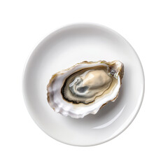 Fresh oyster on white plate, showcasing luxury seafood