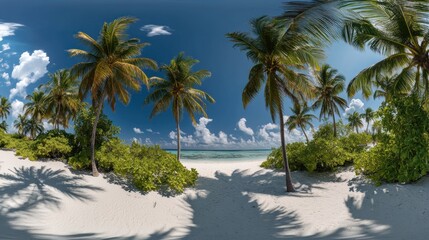 Fototapeta premium Tropical Paradise: Idyllic Beach with Lush Palm Trees and Azure Ocean