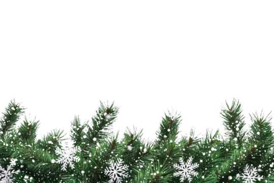 [Transparent Background PNG]Christmas Fir Tree Branches Background Design