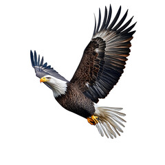 Fototapeta premium [Transparent Background PNG]Majestic American Bald Eagle in Flight