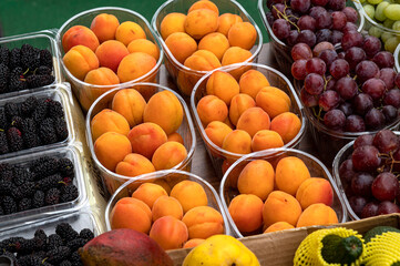 Fresh, ripe apricots in clear plastic containers at a farmer's market. Juicy, vibrant orange fruits displayed alongside mulberries and grapes. Healthy, delicious summer produce