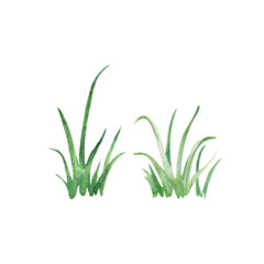 Grass sketch hand drawn with watercolor. Isolated objects on white background.