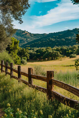 Fototapeta premium A wooden fence in the middle of a grassy field