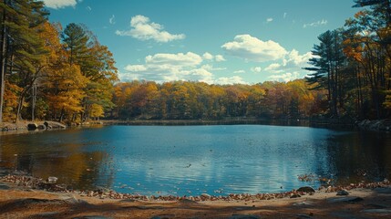 Serene Autumn Pond with Colorful Foliage Reflecting in Calm Water Under a Bright Sky