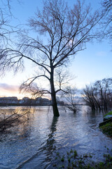 Obraz premium Seine river flood in Paris suburb. Ivry-sur-Seine city
