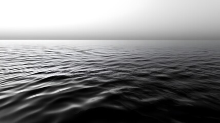 Obraz premium Serene Monochrome Seascape Under a Pale Sky