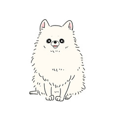 ポメラニアン(ホワイト)