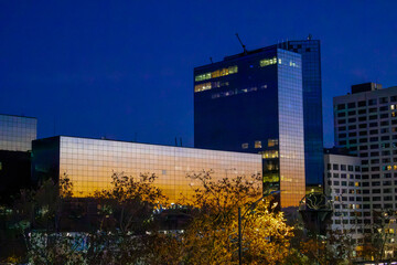 City skyline at sunset, reflecting on modern glass buildings.  Trees in the foreground add a touch...