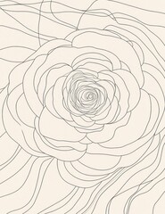 Fototapeta premium Abstract line art rose, cream background, elegant design, home decor