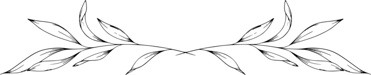 Elegant Floral Frames great for that special occasion