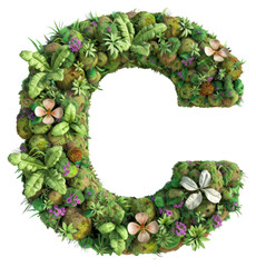 PNG  C letter wreath plant.