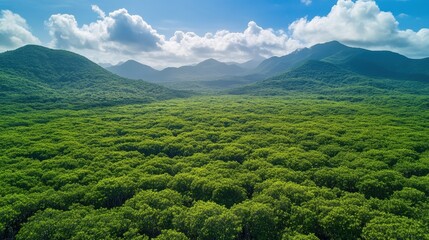 Fototapeta premium Verdant mountain landscape with lush forests under a blue sky and clouds