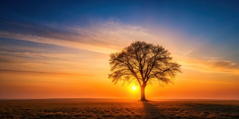 Fototapeta premium A lone tree stands tall above the horizon as the sun rises, its branches stretching towards the sky like outstretched arms