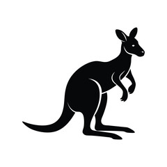 kangaroo  animal vector  illustration.