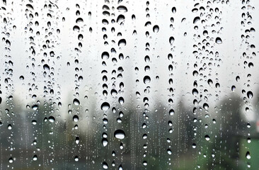 drops of water on the window