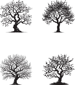 "Plum Tree Silhouette Collection - Four Unique Designs"