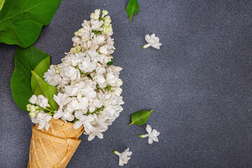 White lilac flowers in waffle ice cream cones on dark stone concrete background. Flat lay