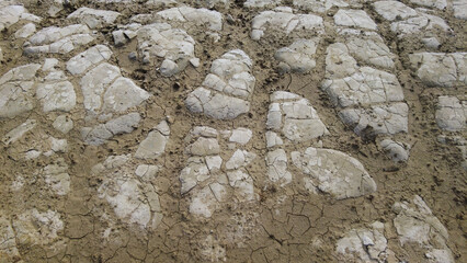 Soils cracked by the lake due to drought.