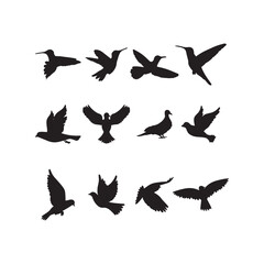 Vector Silhouettes of Birds