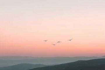Obraz premium Gentle hues blend in sky as birds soar over soft, rolling hills
