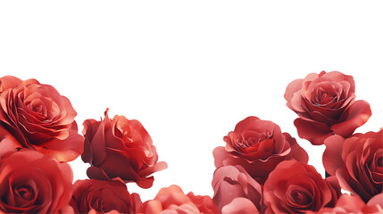 Pink Rose Petal Border with a Romantic Floral Theme with transparent PNG background