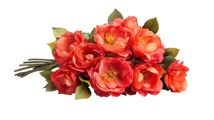 Fototapeta premium A beautiful bouquet of red tulips with petals with transparent PNG background