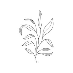 Vector leaf pattern, black line art background. Boho leaf illustration