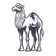 Fototapeta premium camel vector illustration