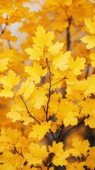 Fototapeta premium Autumn leaves falling nature scene close-up photography vibrant colors serene environment captivating details