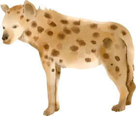 watercolor hyena