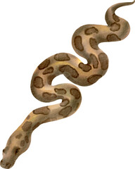 watercolor snake
