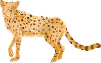 watercolor cheetah © Je