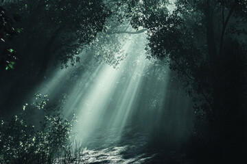 Sunlight streams through a dark forest, illuminating the towering trees and creating a captivating play of light and shadow on the forest floor.