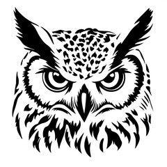 Obraz premium eagle owl on a white background