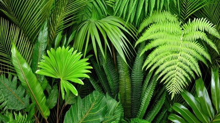 Naklejka premium Lush Tropical Foliage